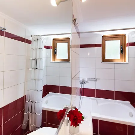 Delphinus Nefeli * Áyios Nikítas